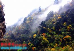 2013年最美牛背山之彩林红叶、日出、雪景、金山、佛光云海